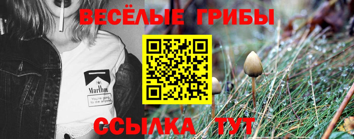 как найти   Галлюциногенные грибы мухоморы  Псилоцибиновые грибы мицелий  Вход с VPN  Рузаевка 